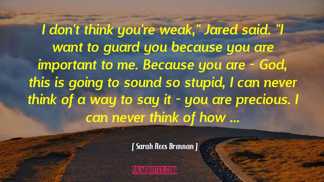 Nonsense Words quotes by Sarah Rees Brennan