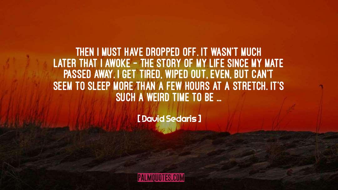 Noon quotes by David Sedaris