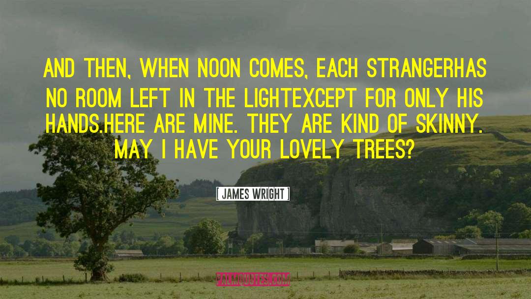 Noon quotes by James Wright