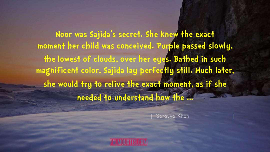 Noor quotes by Sorayya Khan