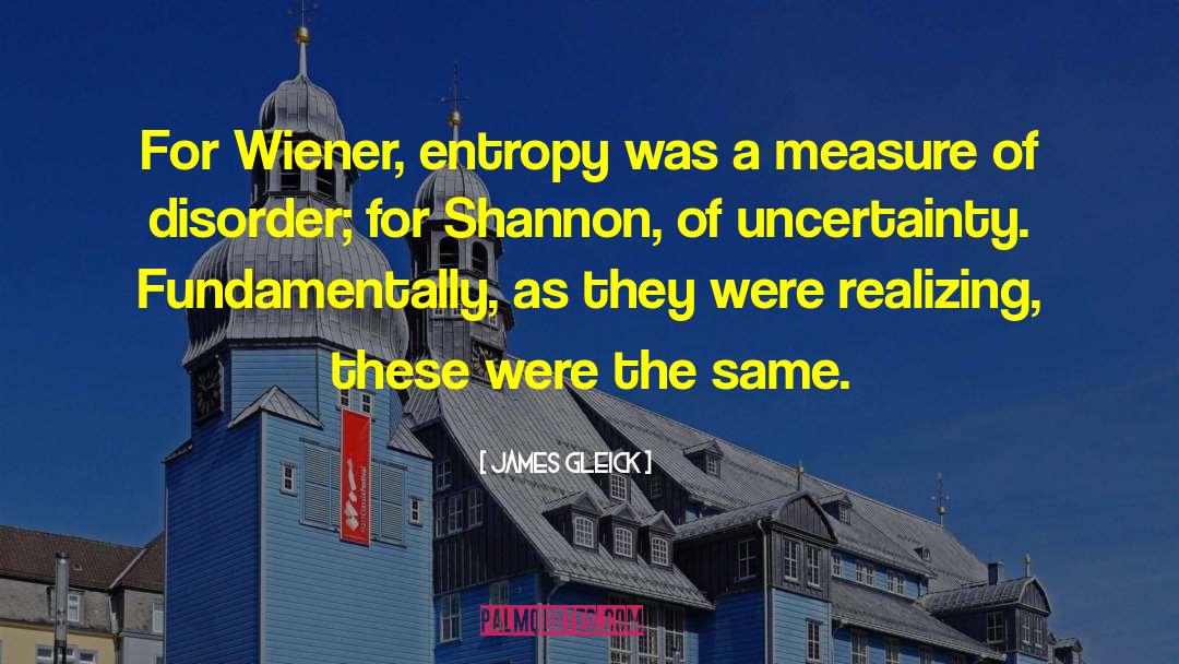 Norbert Wiener quotes by James Gleick