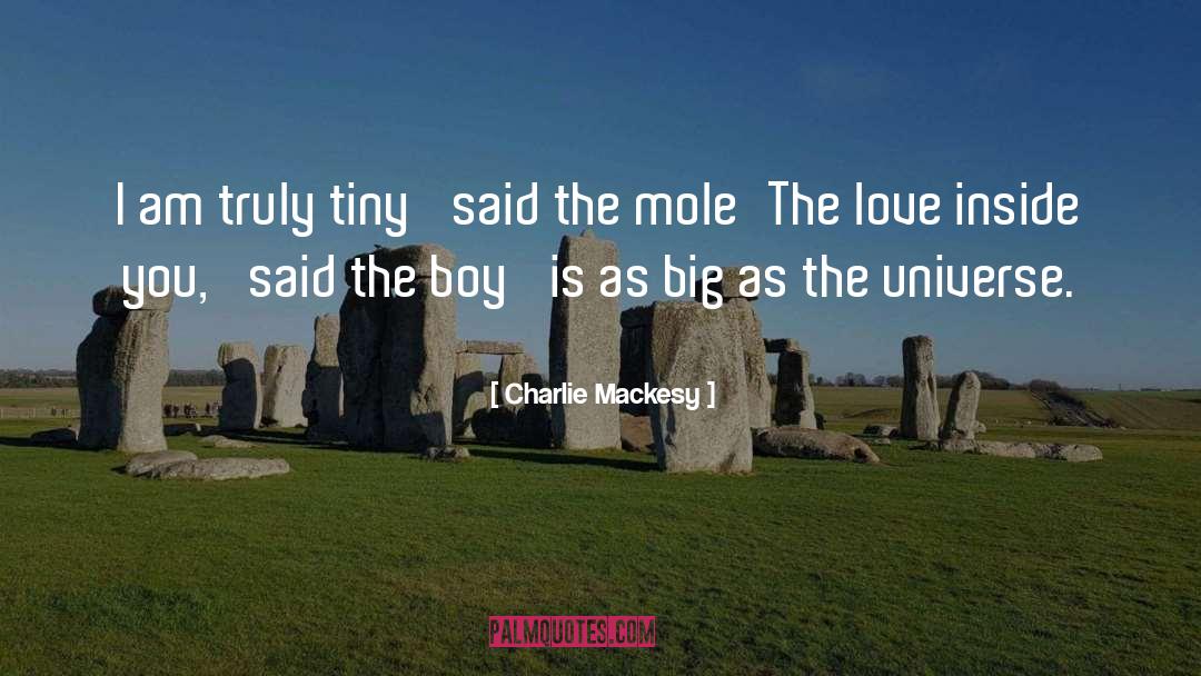 Norddeich Mole quotes by Charlie Mackesy