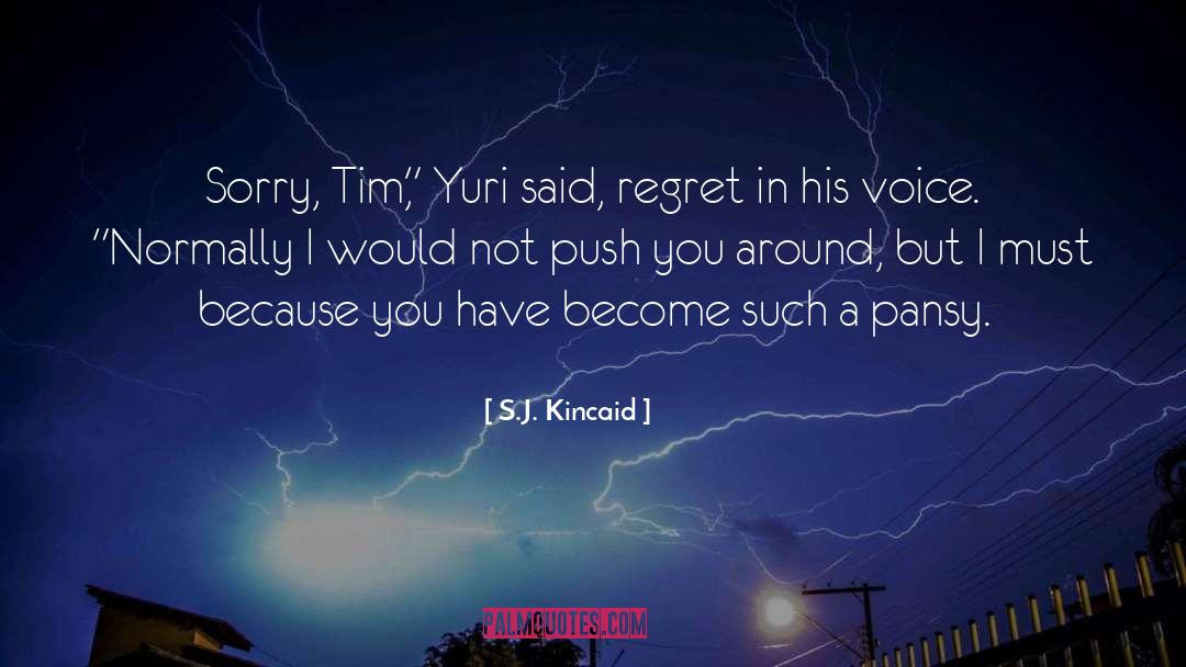 Normally quotes by S.J. Kincaid