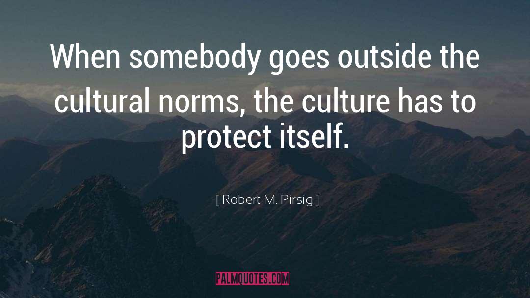 Norms quotes by Robert M. Pirsig
