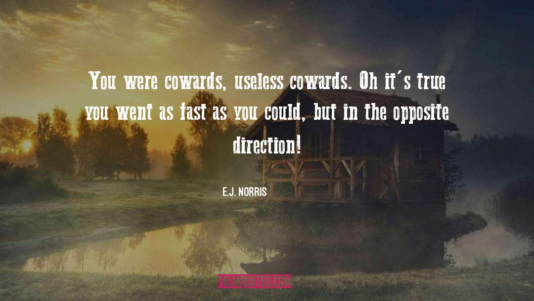 Norris quotes by E.J. Norris