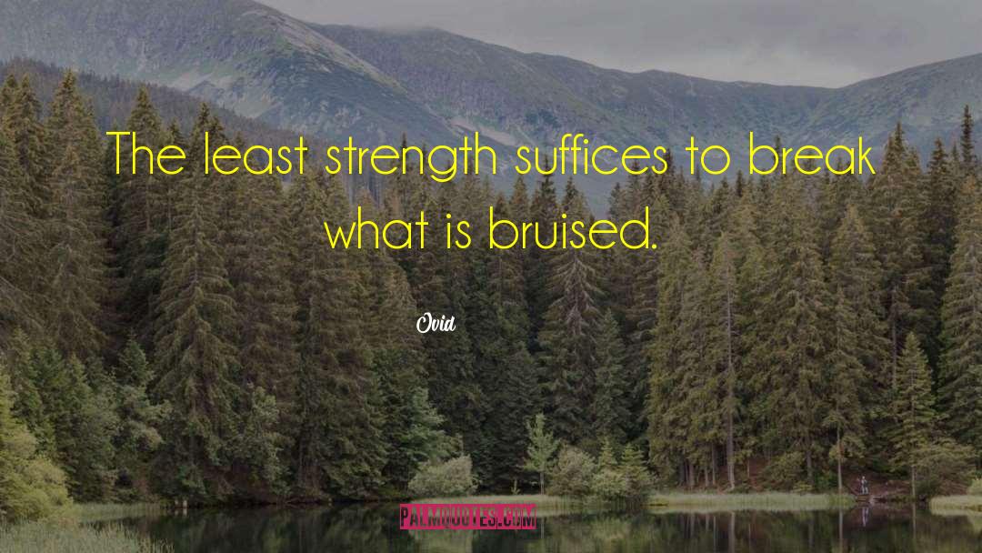 Norse Strength quotes by Ovid