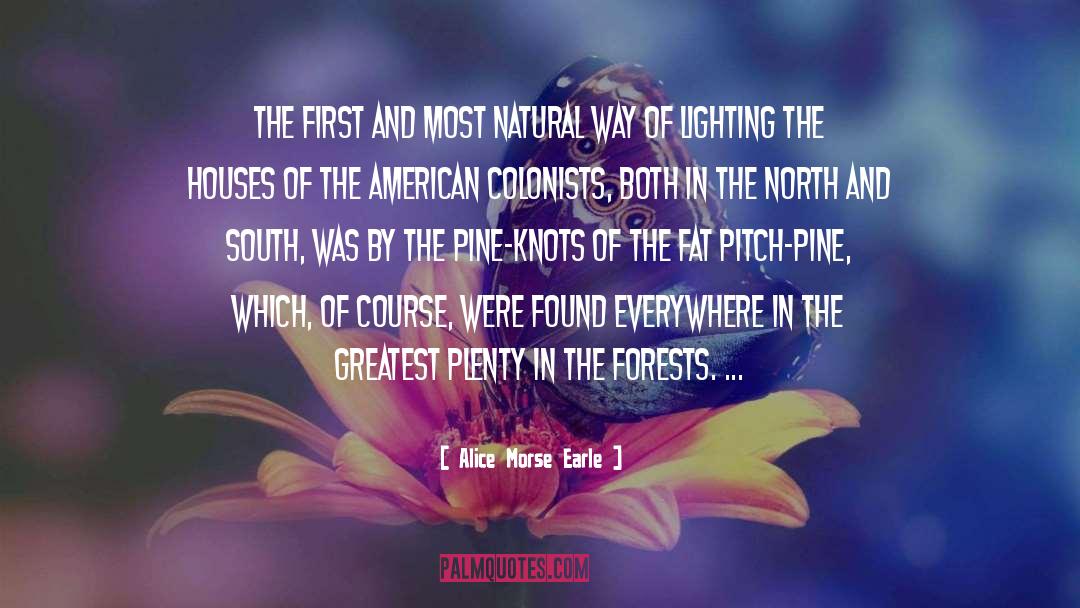 North And South quotes by Alice Morse Earle