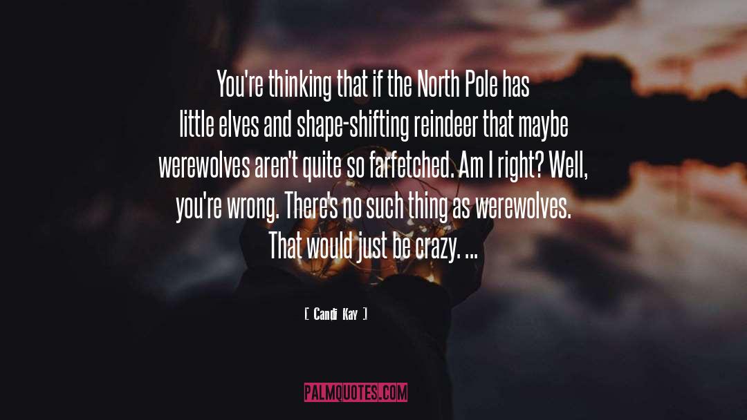 North Pole quotes by Candi Kay