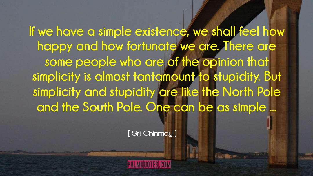 North Pole quotes by Sri Chinmoy