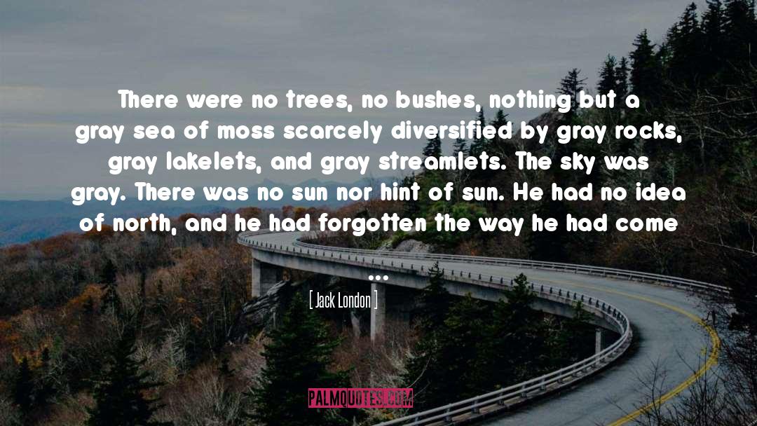 North quotes by Jack London