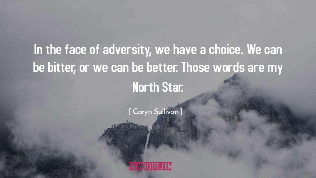 North Star quotes by Caryn Sullivan