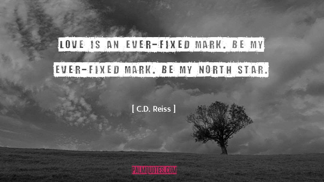 North Star quotes by C.D. Reiss
