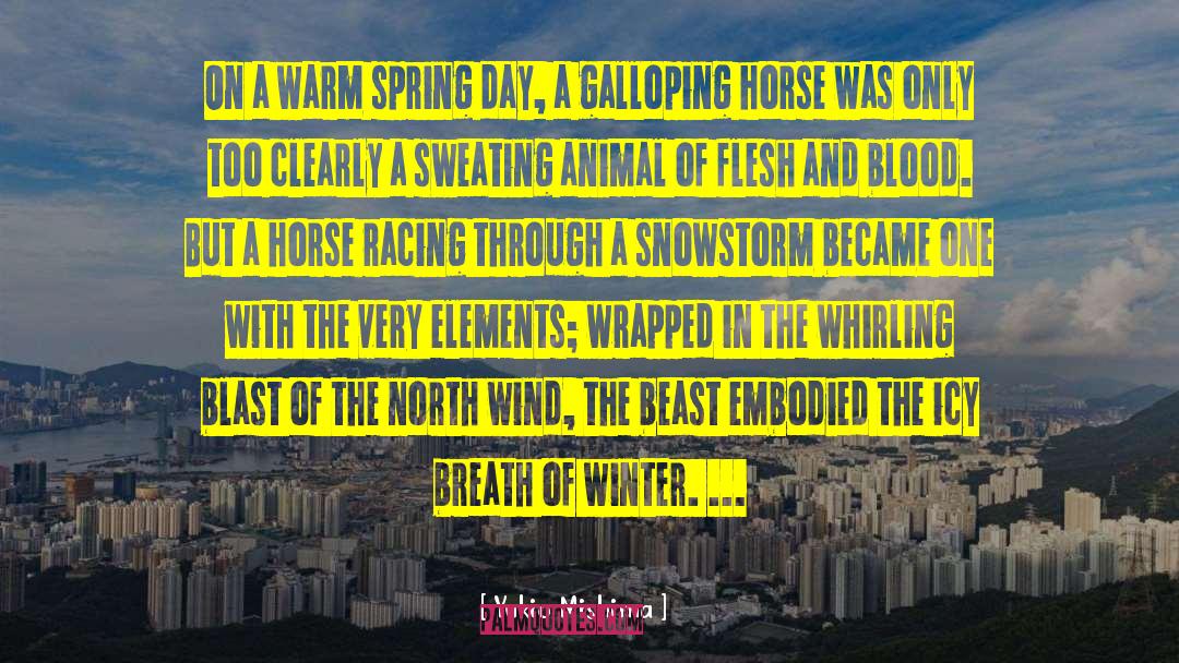 North Wind quotes by Yukio Mishima
