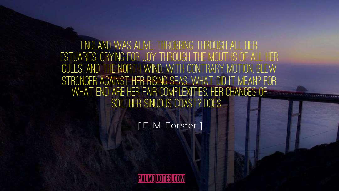 North Wind quotes by E. M. Forster