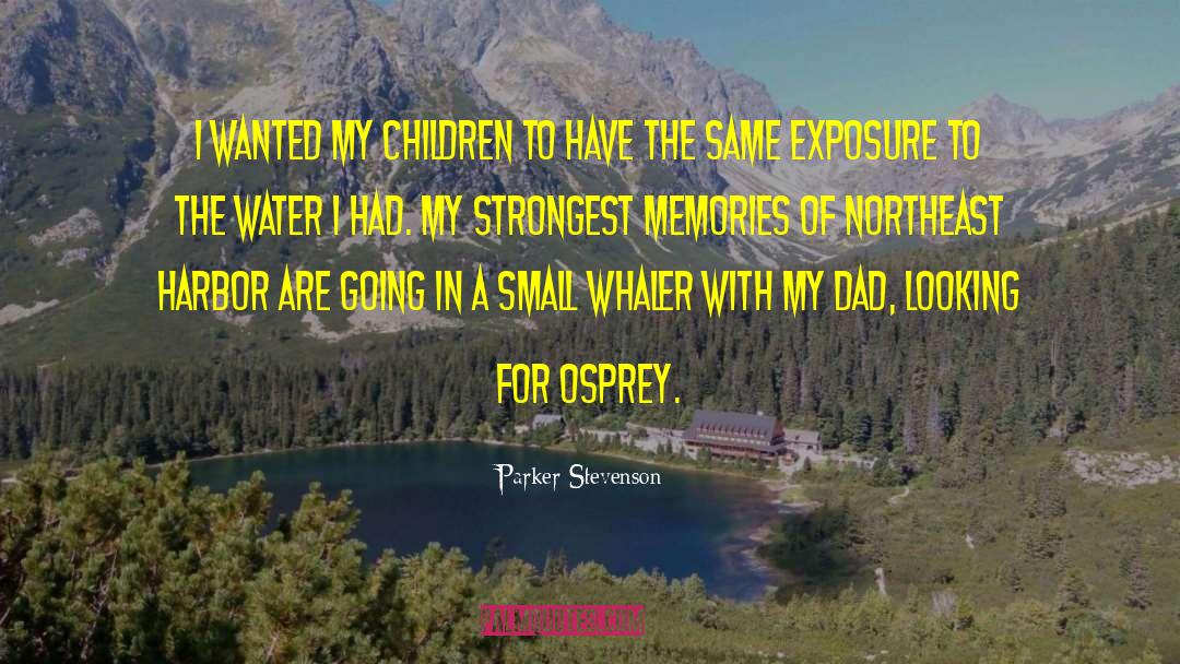 Northeast Scotland quotes by Parker Stevenson