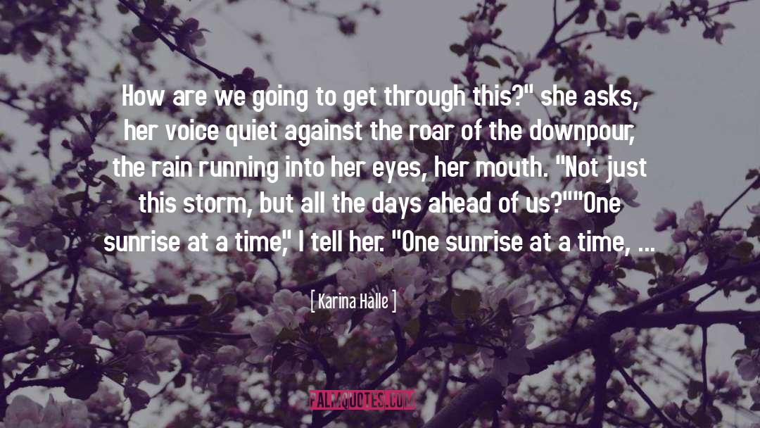 Northern Downpour quotes by Karina Halle