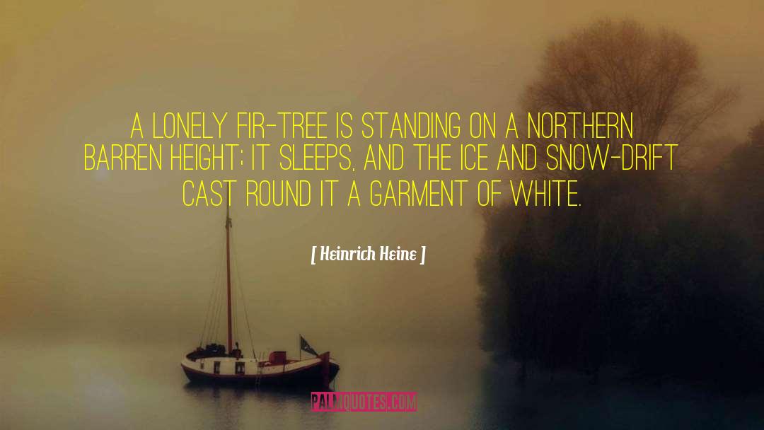 Northern Downpour quotes by Heinrich Heine