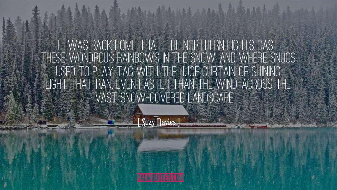 Northern Landscape Layering quotes by Suzy Davies