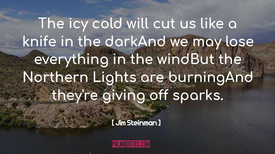 Northern Lights quotes by Jim Steinman