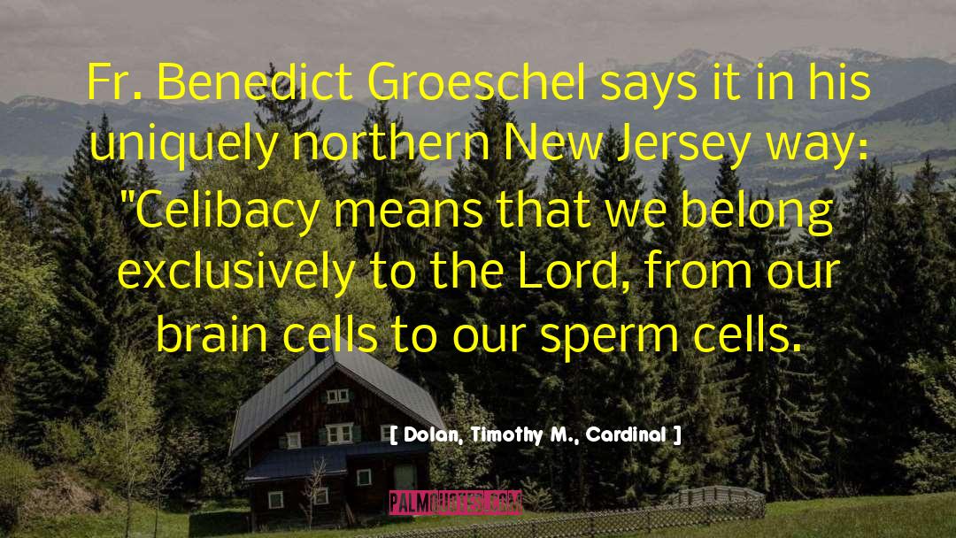 Northern New Jersey quotes by Dolan, Timothy M., Cardinal