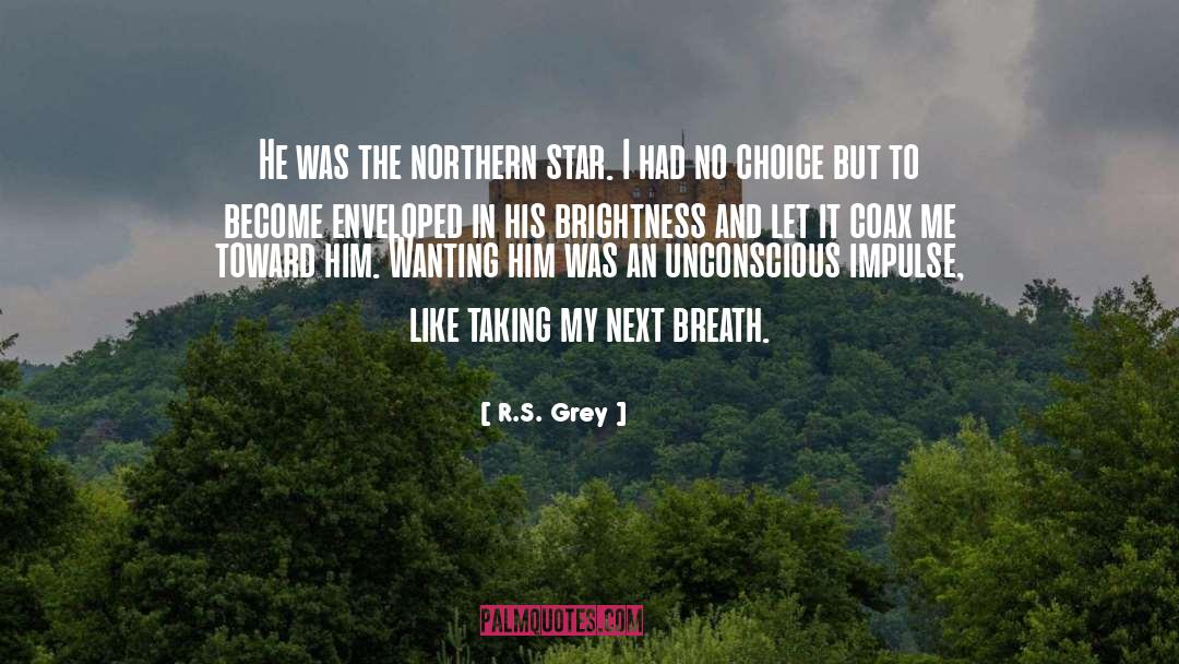 Northern Star quotes by R.S. Grey