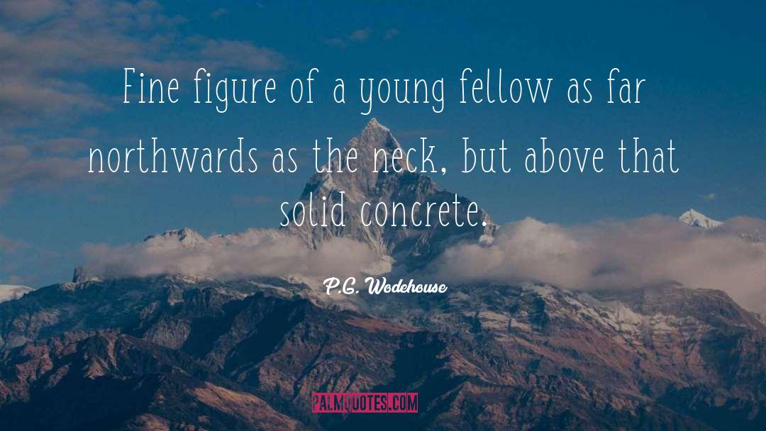 Northwards Concert quotes by P.G. Wodehouse