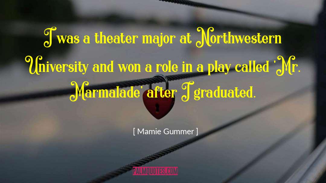 Northwestern University quotes by Mamie Gummer