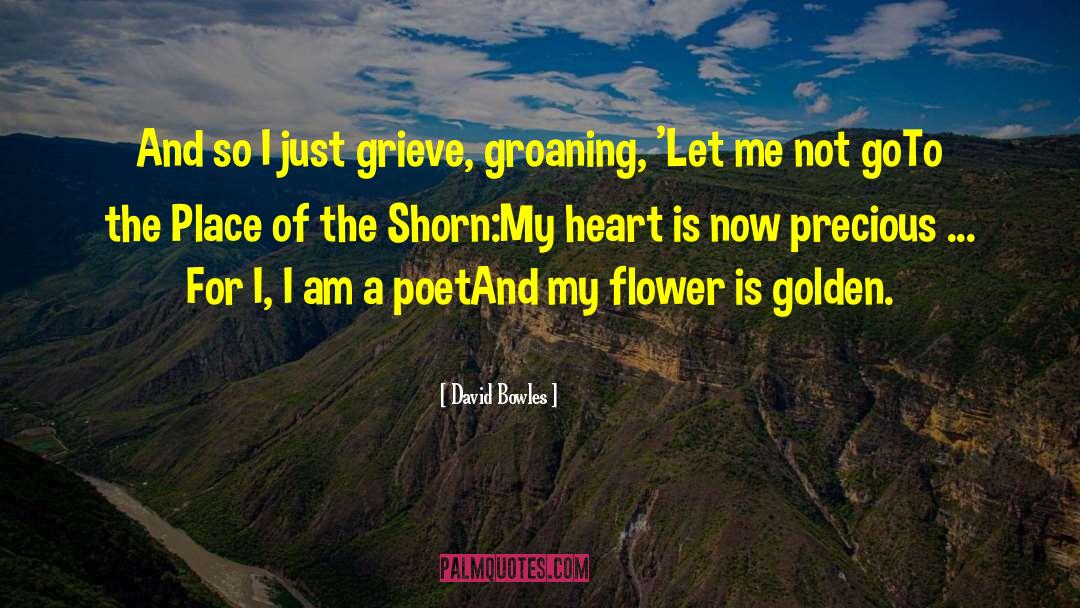 Norwegian Poet quotes by David Bowles