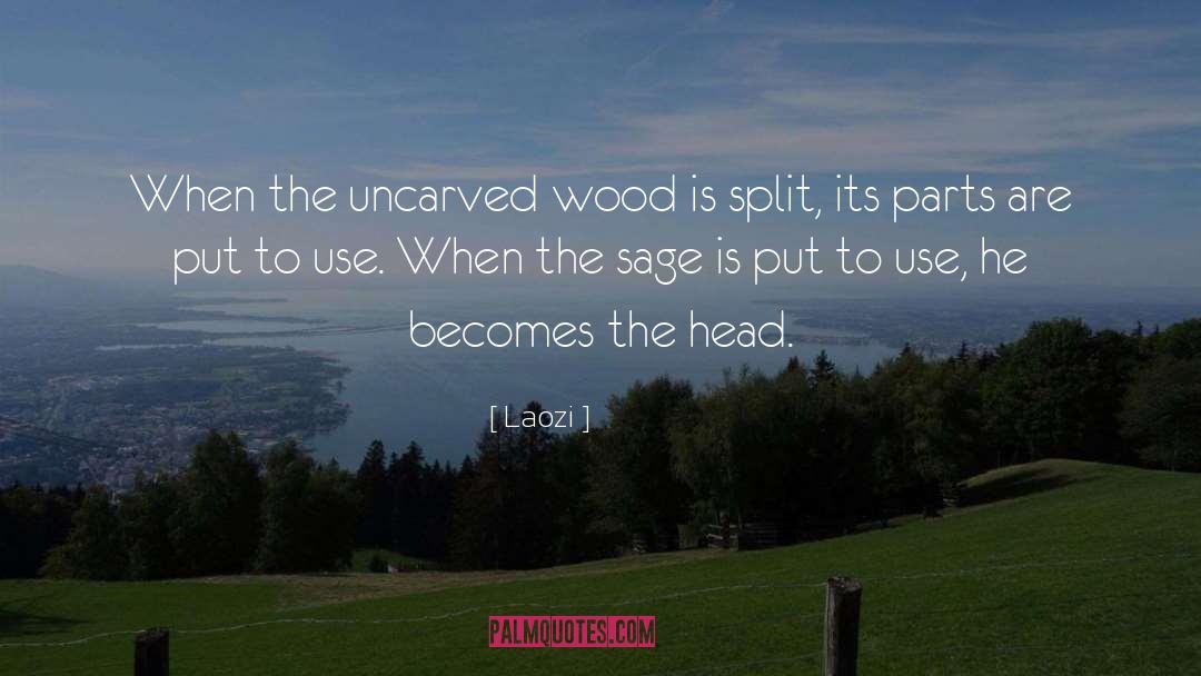 Norwegian Wood quotes by Laozi