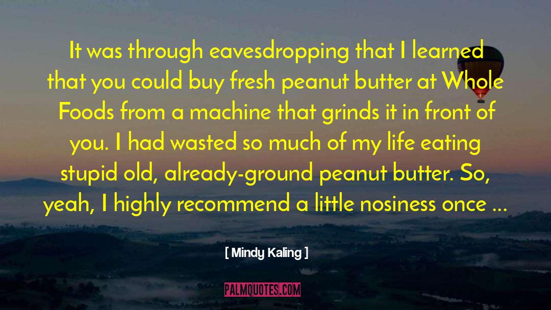 Nosiness quotes by Mindy Kaling