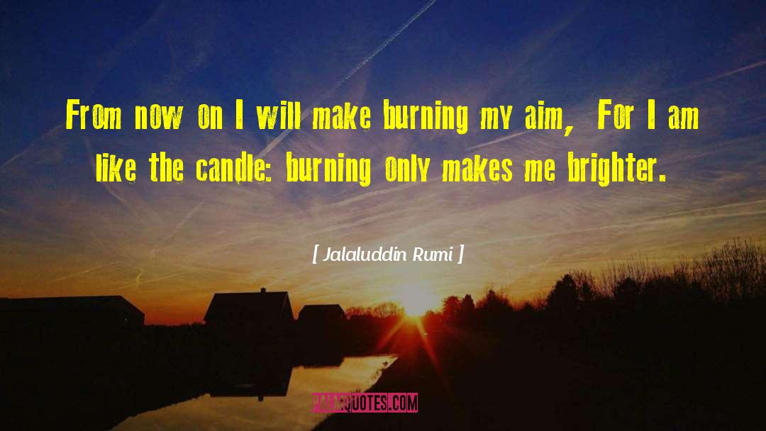 Nostrils Burning quotes by Jalaluddin Rumi