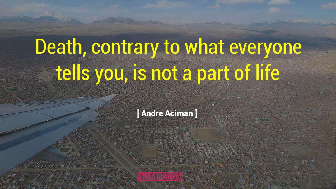 Not A Part quotes by Andre Aciman