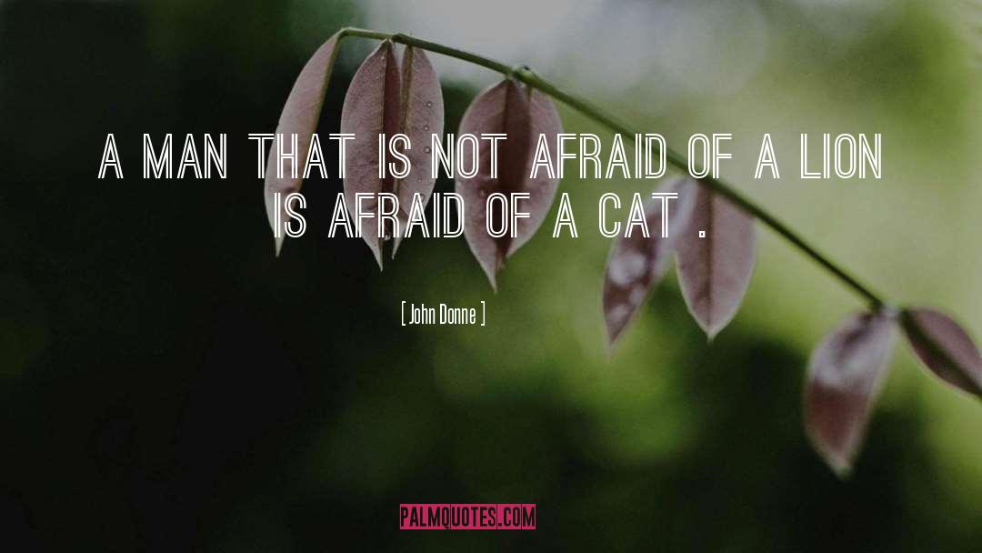 Not Afraid quotes by John Donne