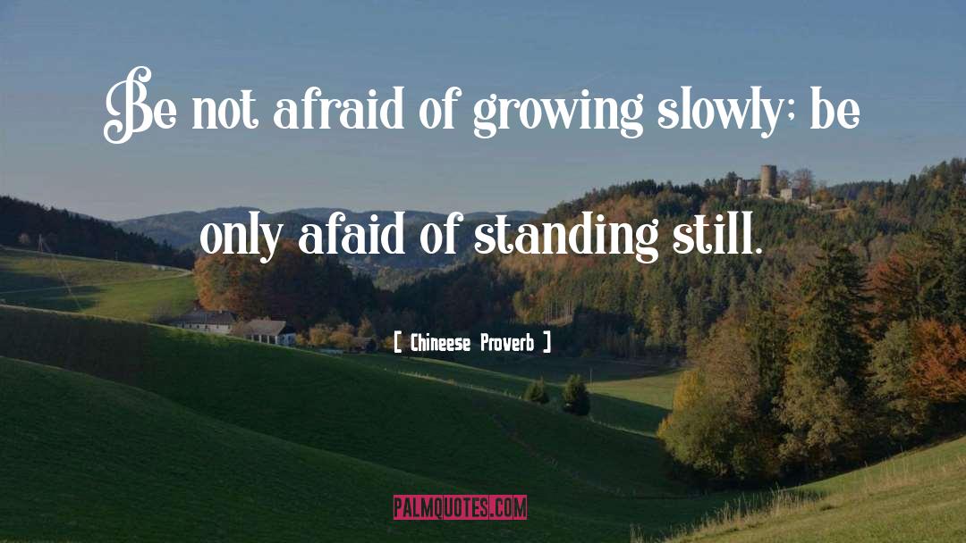 Not Afraid quotes by Chineese Proverb