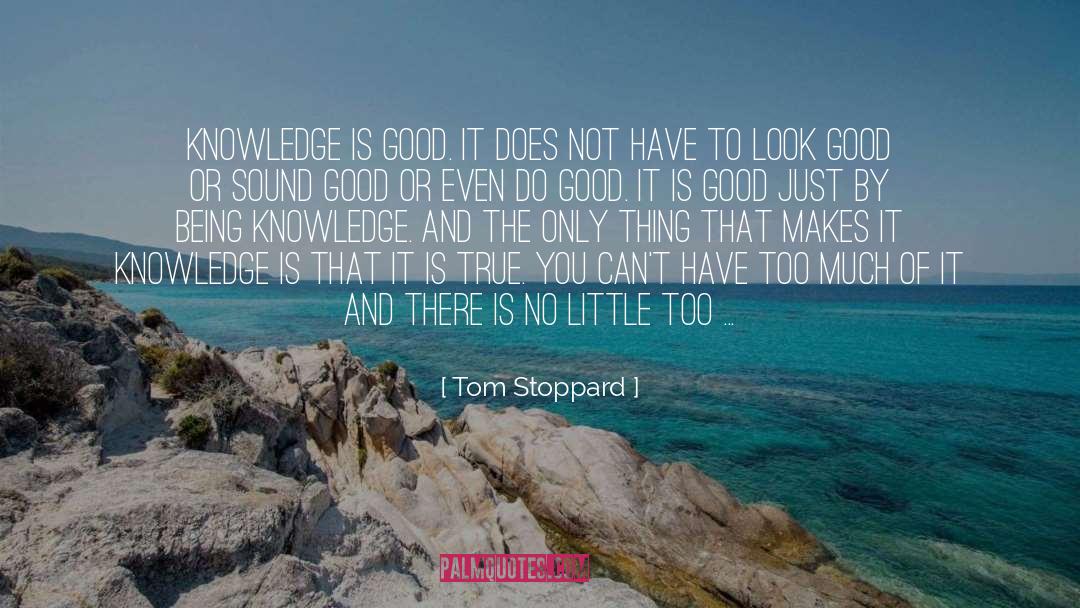 Not Being Good Enough quotes by Tom Stoppard
