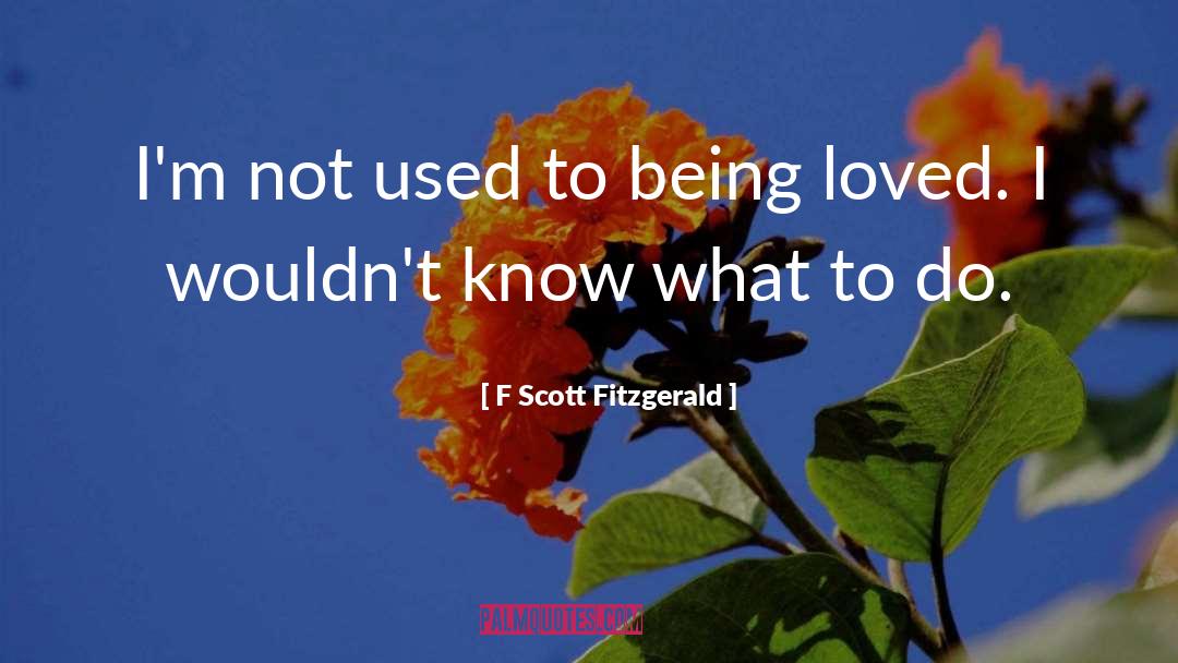 Not Being Loved Enough quotes by F Scott Fitzgerald