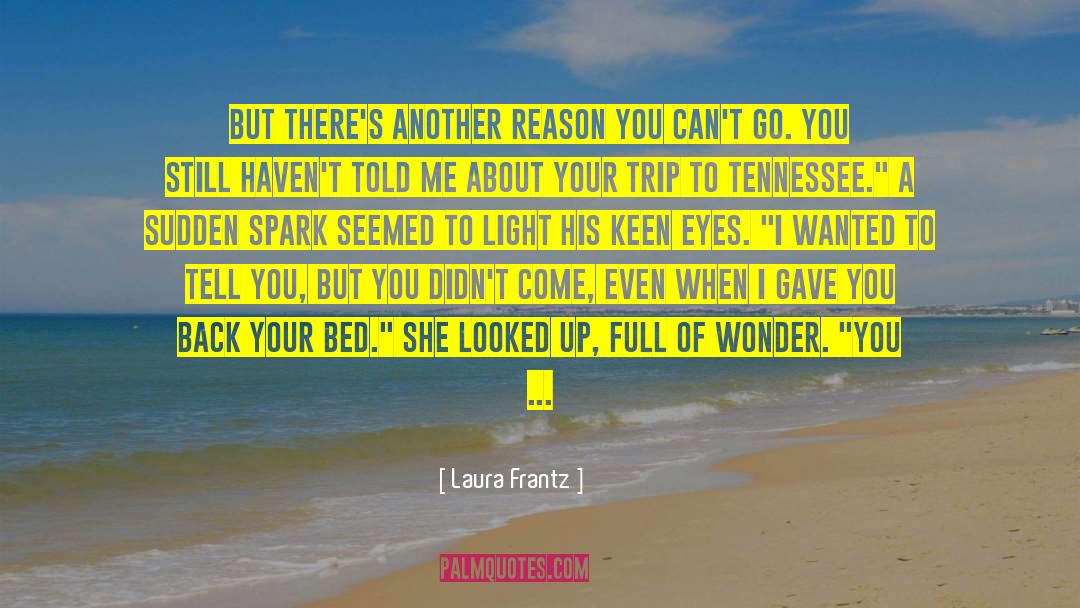 Not Being Tricked quotes by Laura Frantz
