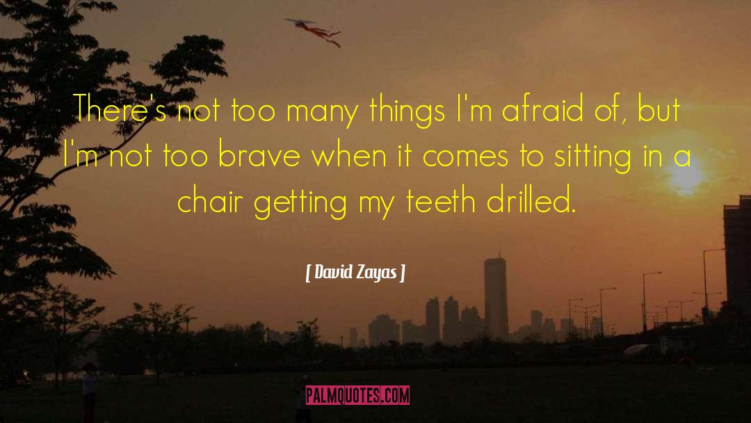 Not Brave Enough quotes by David Zayas
