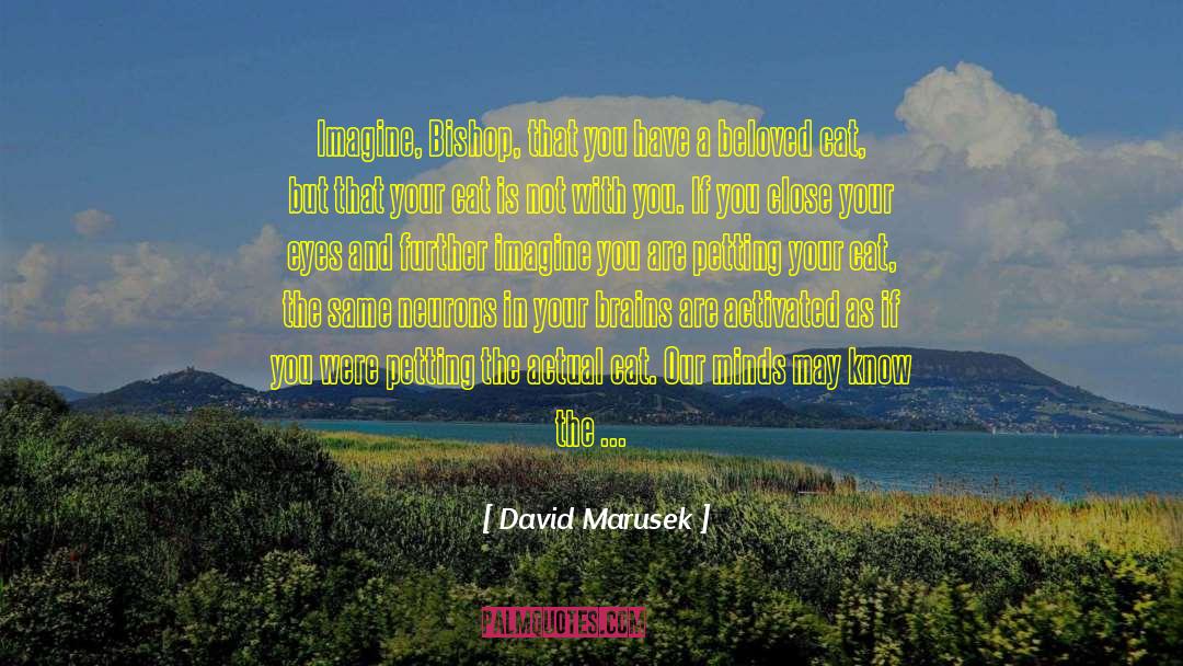 Not David Sheff quotes by David Marusek