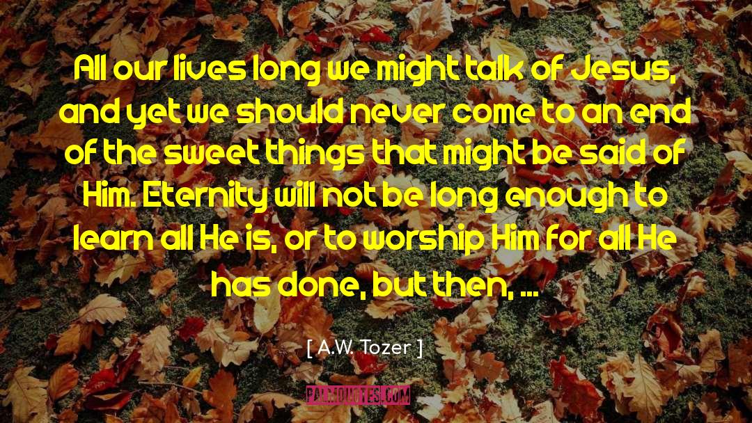 Not Enough Time quotes by A.W. Tozer