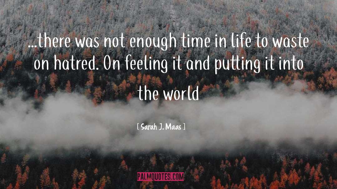 Not Enough Time quotes by Sarah J. Maas