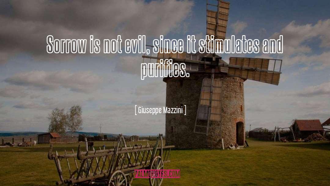 Not Evil quotes by Giuseppe Mazzini