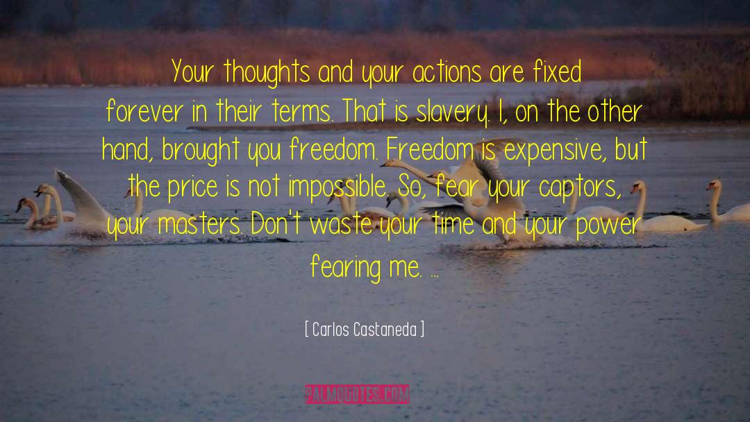 Not Fearing Life quotes by Carlos Castaneda