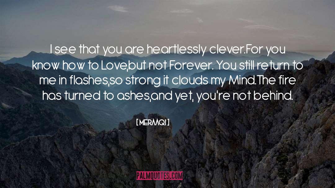 Not Forever quotes by Meraaqi