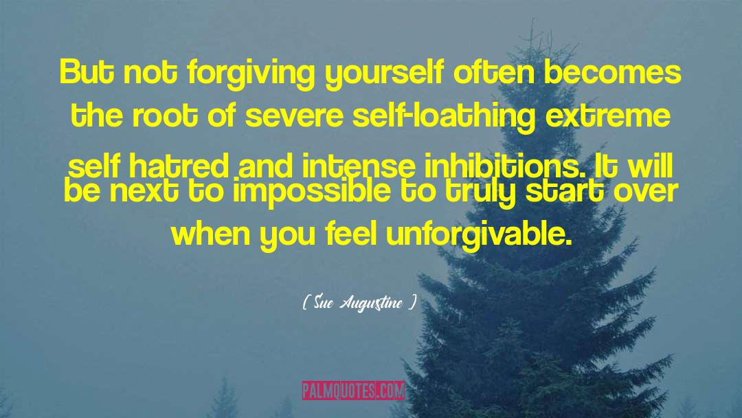 Not Forgiving quotes by Sue Augustine