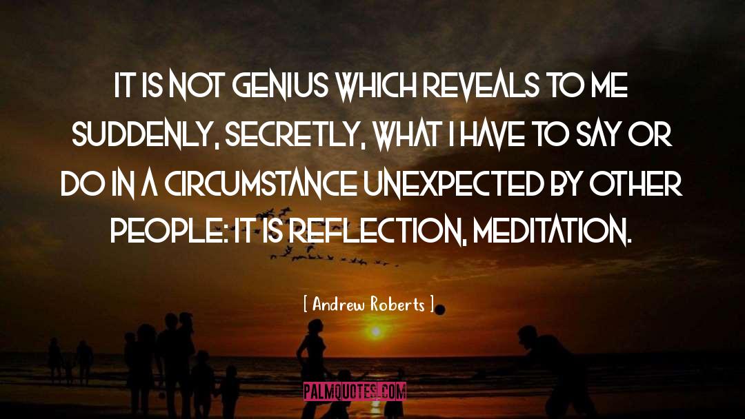Not Genius quotes by Andrew Roberts