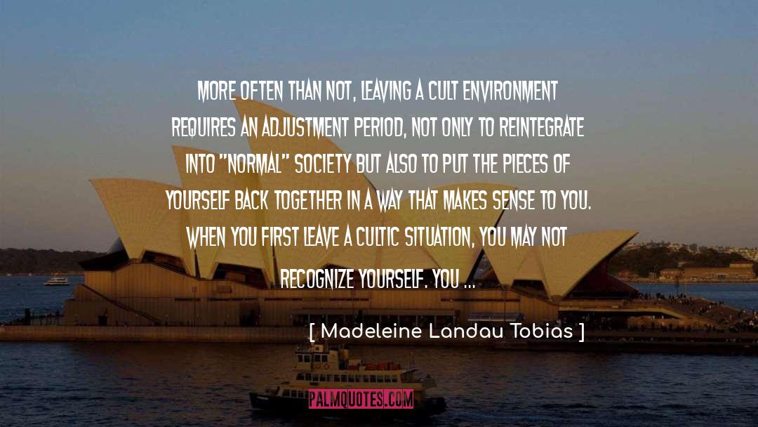 Not Giving Up On What You Want quotes by Madeleine Landau Tobias