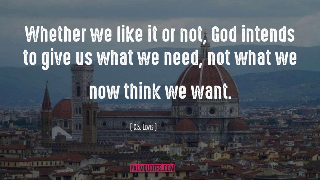 Not God quotes by C.S. Lewis