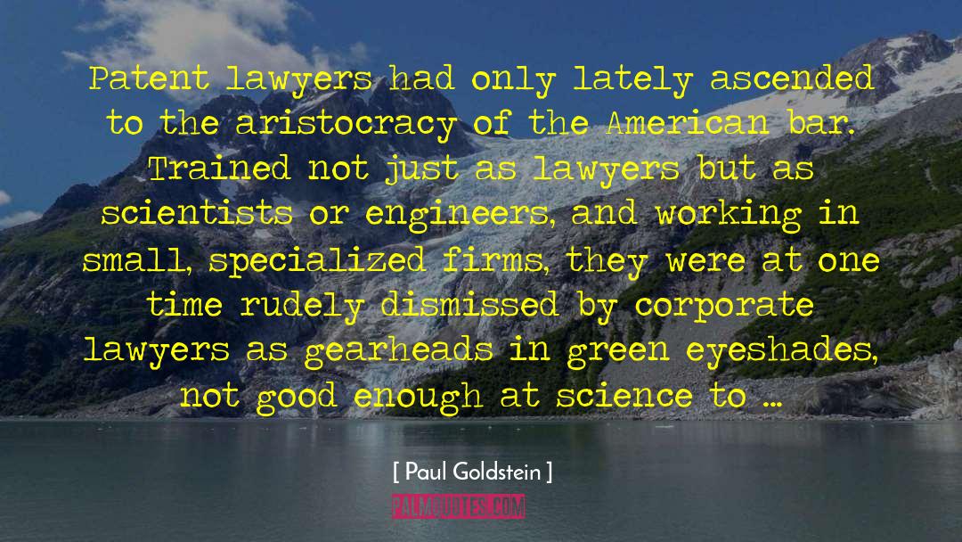 Not Good Enough quotes by Paul Goldstein