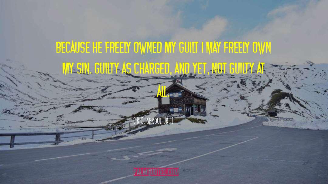 Not Guilty quotes by R.C. Sproul Jr.